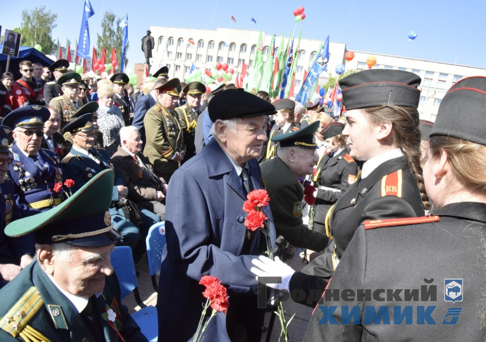 _DSC2336_cr.jpg