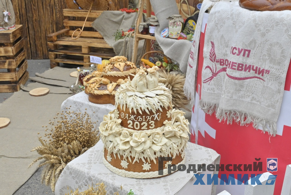 Областные «Дожинки» 2023 года прошли в Зельве