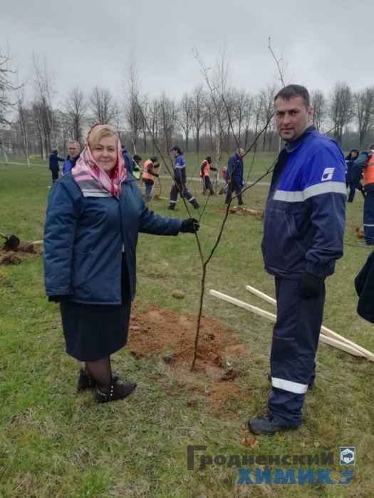 Рядом с филиалом «Завод Химволокно» обновился сквер