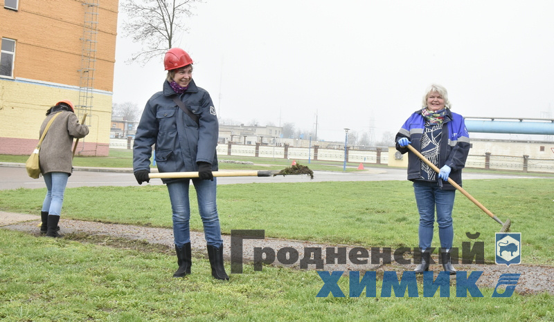 _DSC1250_cr.jpg