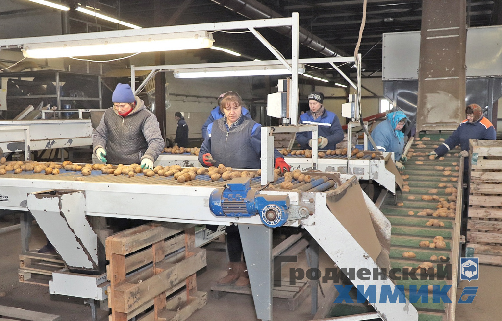 Овощехранилище СУП «Лаздуны-Агро» входит в маршрут производственного туризма.jpg 2024-04-16_овощехранинилищеSWyXGajzWj4.jpg