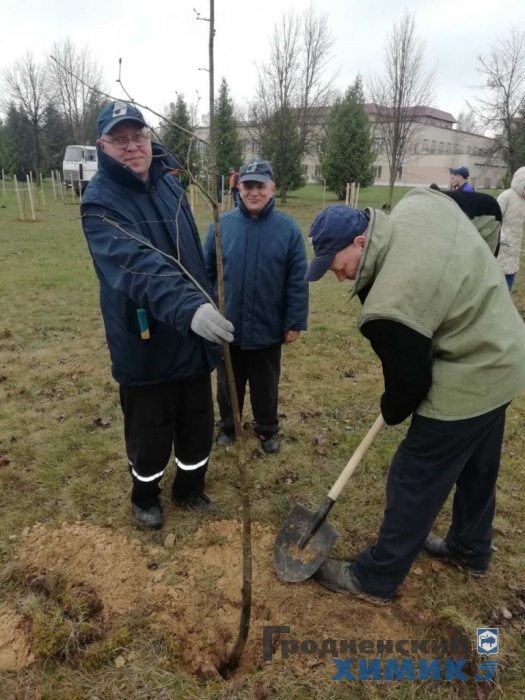 Рядом с филиалом «Завод Химволокно» обновился сквер