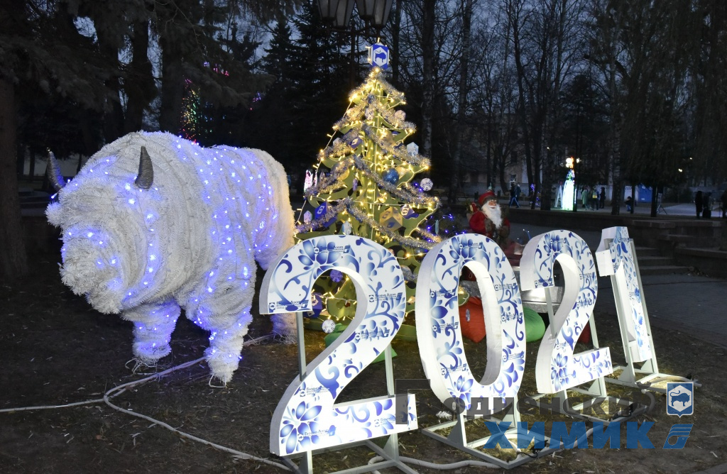 _DSC6458_cr.jpg