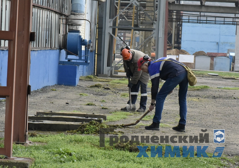 _DSC1447_cr.jpg