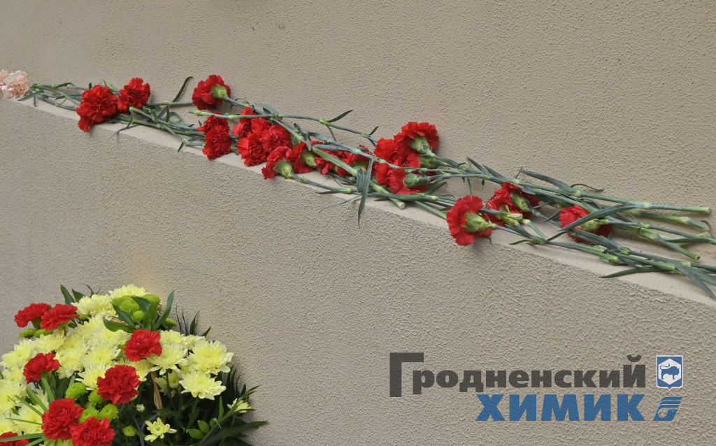_DSC4646_cr.jpg