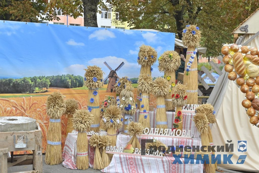 Областные «Дожинки» 2023 года прошли в Зельве