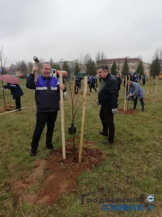 Рядом с филиалом «Завод Химволокно» обновился сквер