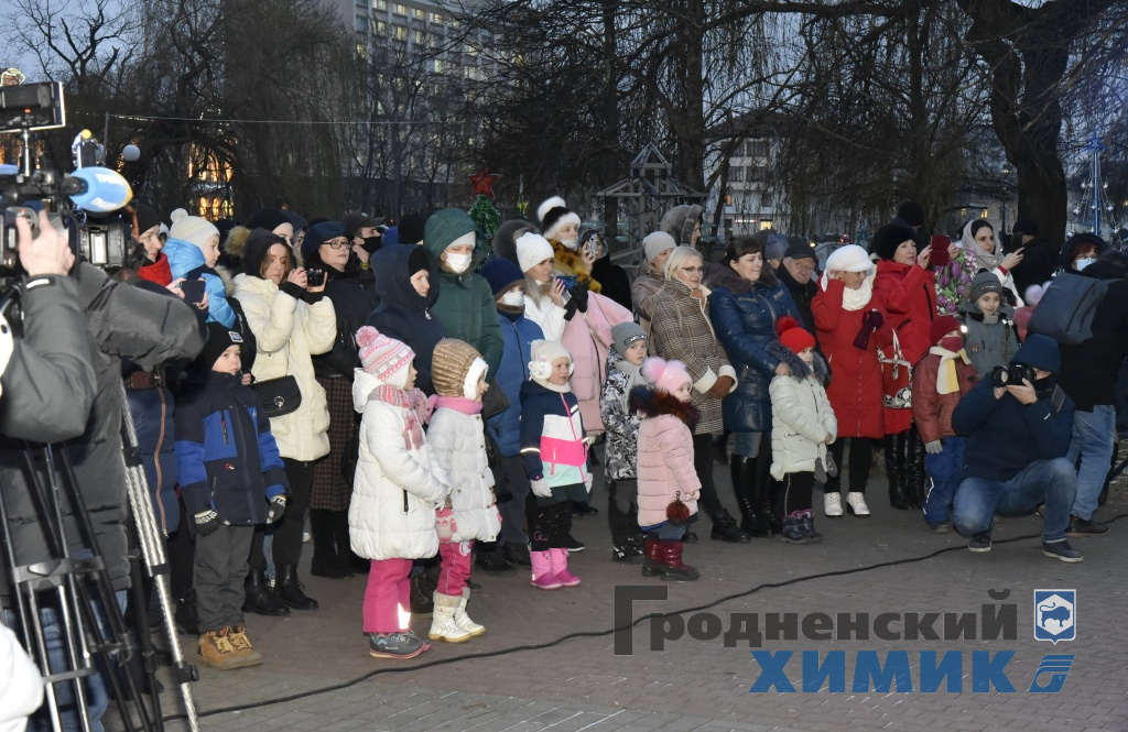 _DSC6427_cr.jpg