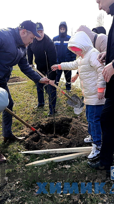Аллея лип_11-54-08.jpg