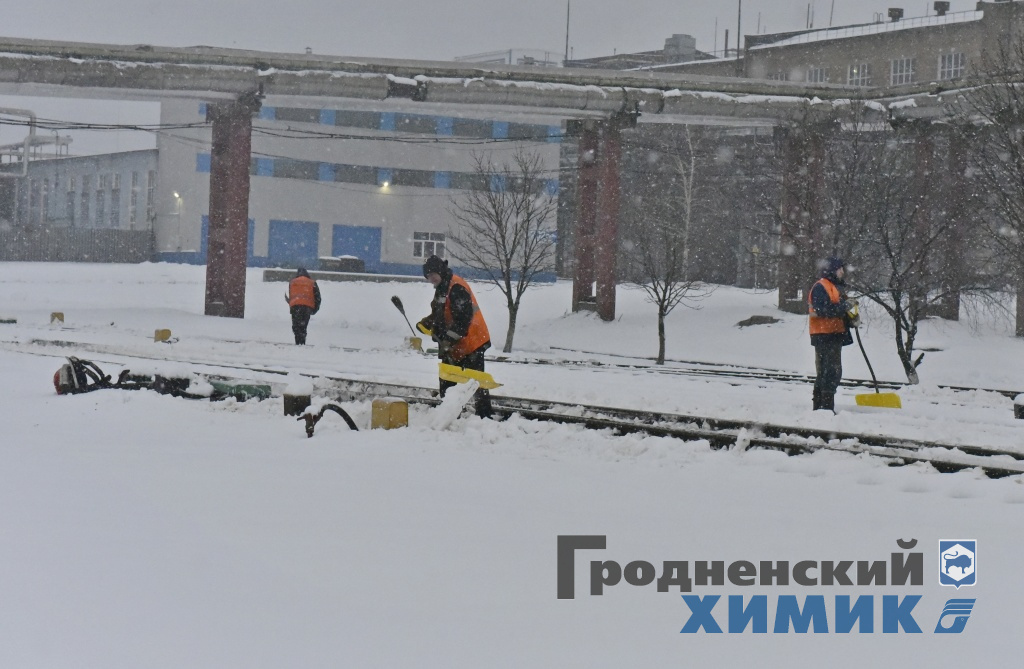 _DSC8145_cr.jpg