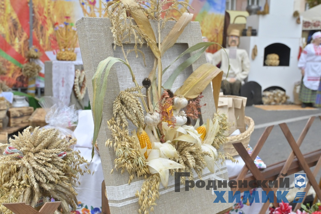 Областные «Дожинки» 2023 года прошли в Зельве