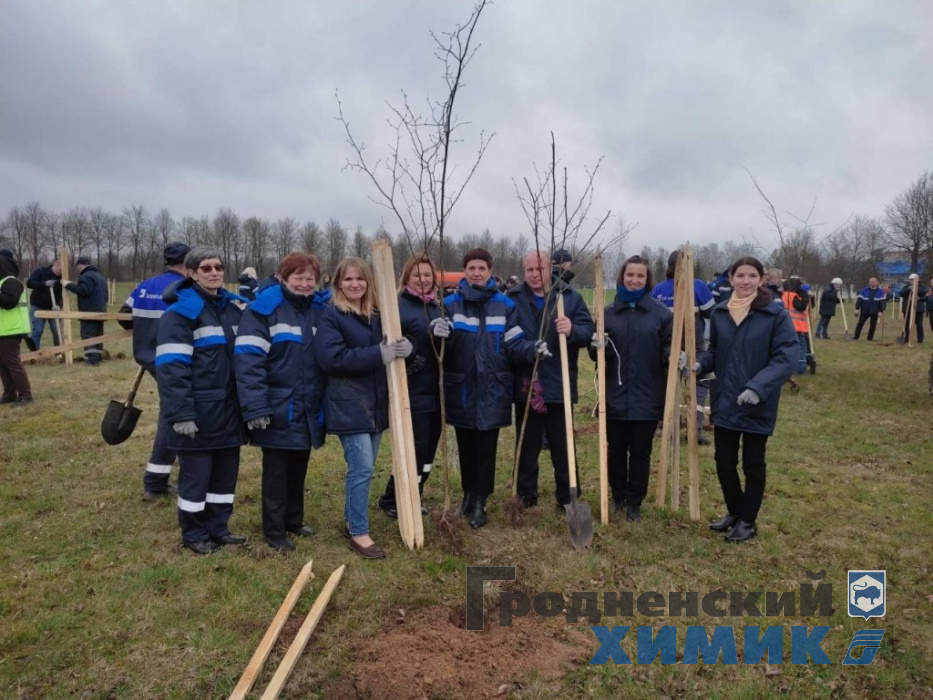 Рядом с филиалом «Завод Химволокно» обновился сквер