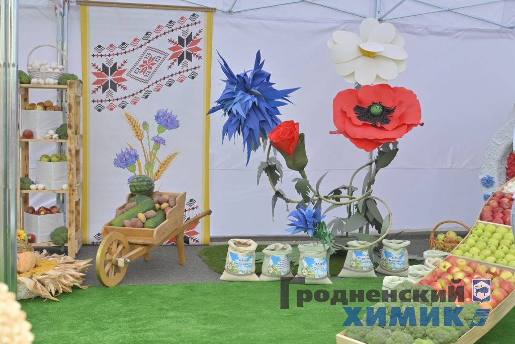 Областные «Дожинки» 2023 года прошли в Зельве