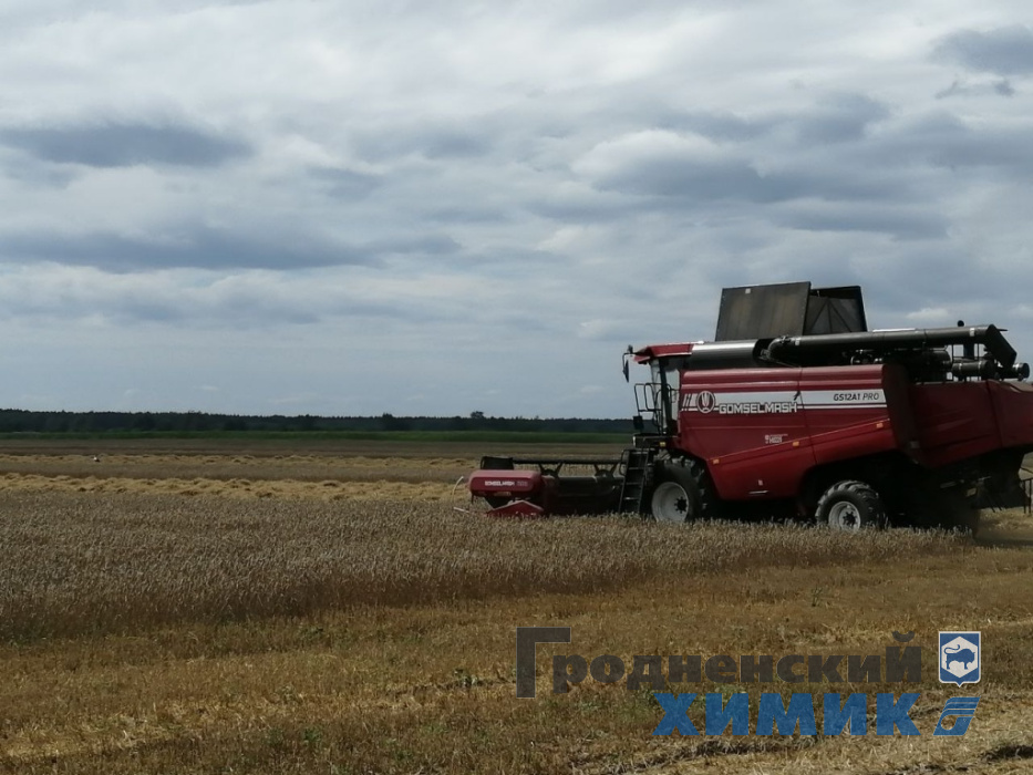 Уборочная кампания в СУП «Лаздуны-Агро»