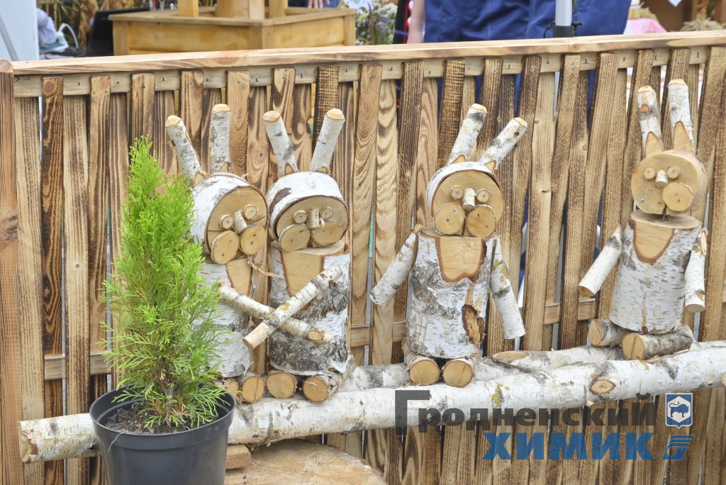 Областные «Дожинки» 2023 года прошли в Зельве