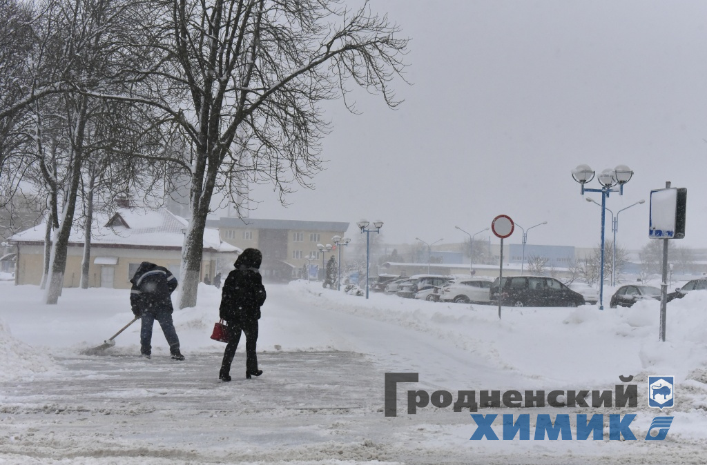 _DSC8246_cr.jpg