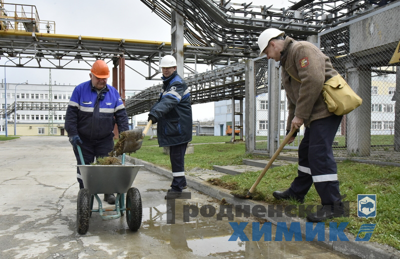 _DSC1552456767_cr.jpg