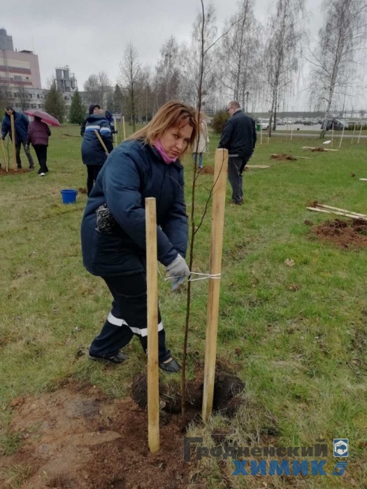 Рядом с филиалом «Завод Химволокно» обновился сквер