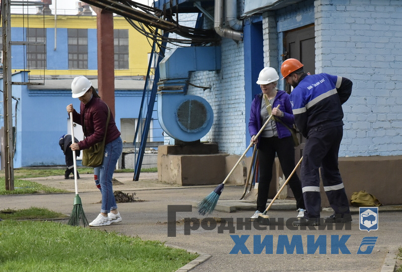 _DSC1443_cr.jpg