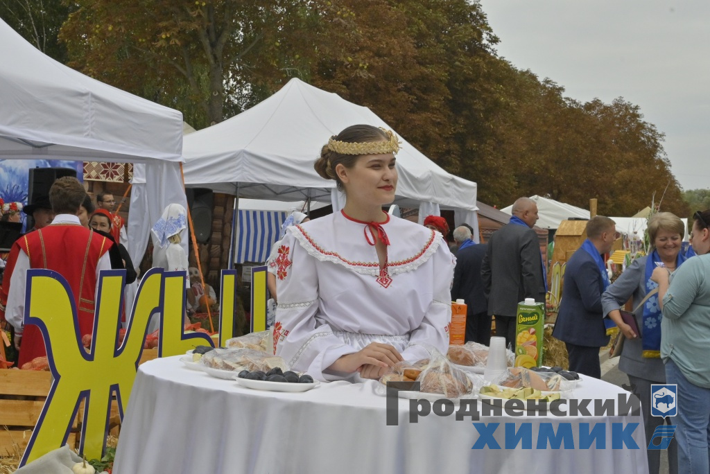 Областные «Дожинки» 2023 года прошли в Зельве