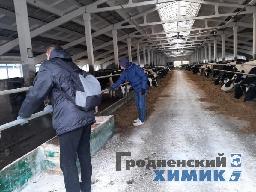 изображение_viber_2022-04-16_15-36-38-567.jpg