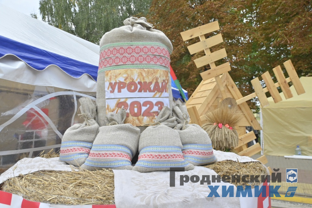 Областные «Дожинки» 2023 года прошли в Зельве