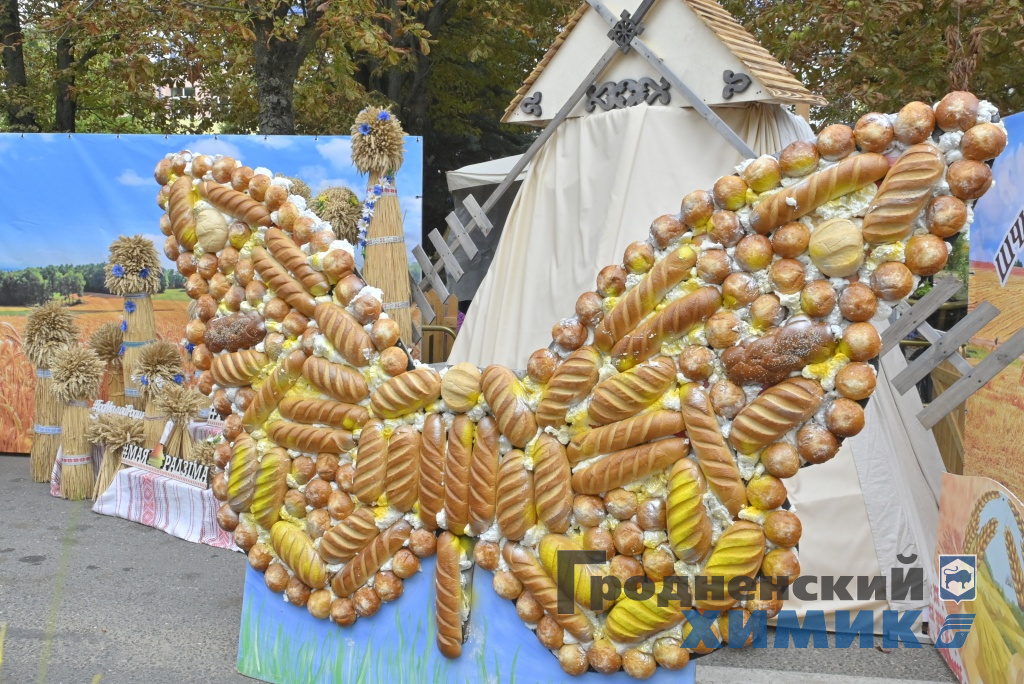 Областные «Дожинки» 2023 года прошли в Зельве