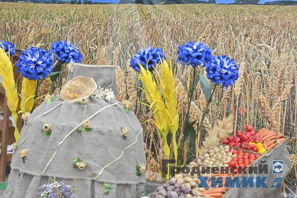 Областные «Дожинки» 2023 года прошли в Зельве