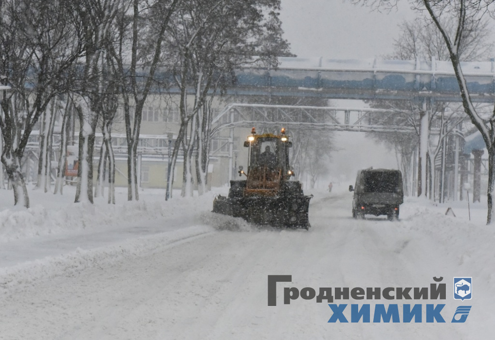 _DSC8178_cr.jpg