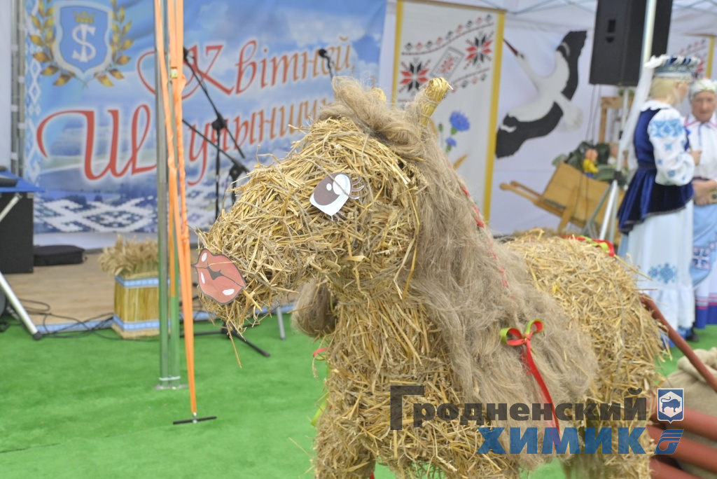 Областные «Дожинки» 2023 года прошли в Зельве