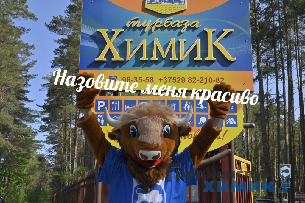 Голосуем!