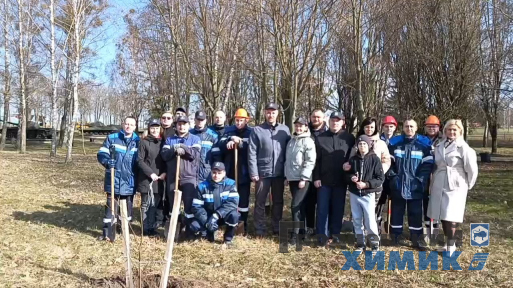 Аллея лип_11-54-19.jpg