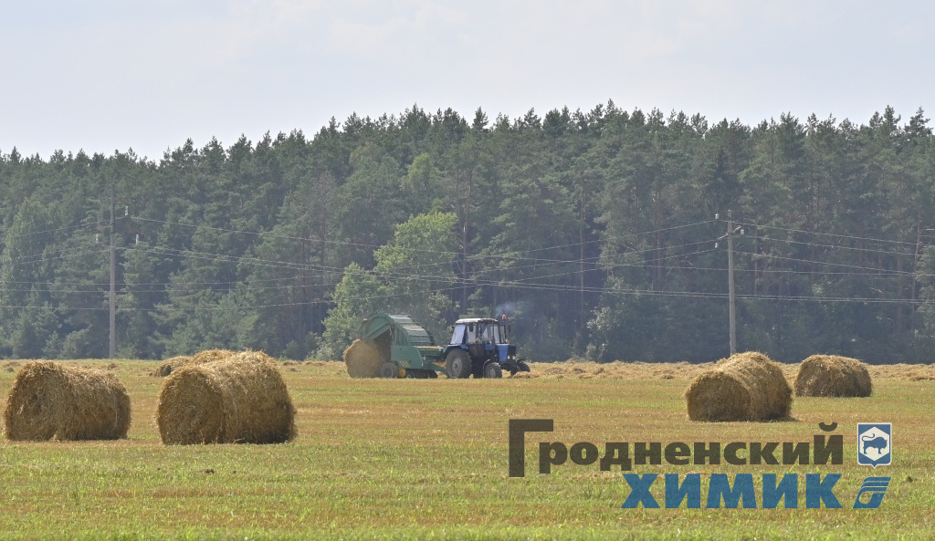 _DSC4298_cr.jpg
