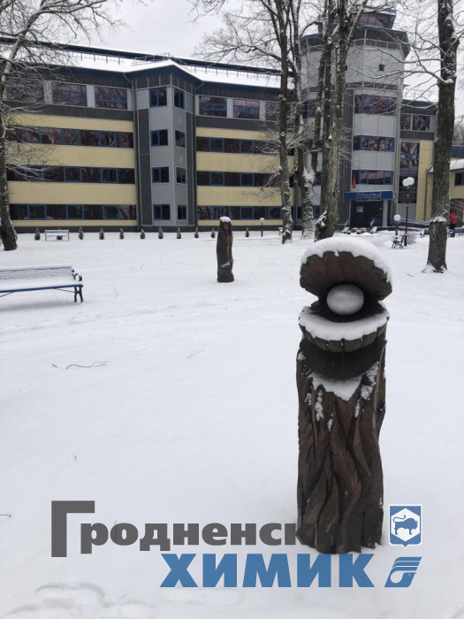 Новый год отпраздновали отдыхающие санатория &laquo;Жемчужина&raquo; УП &laquo;АзотСервис&raquo;