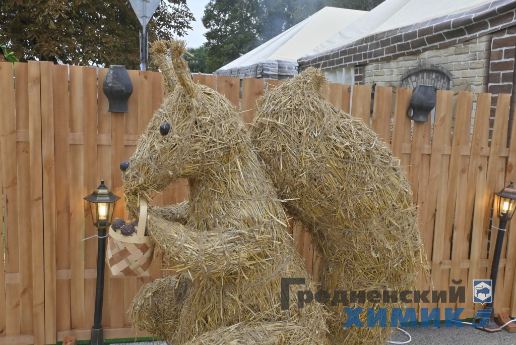 Областные «Дожинки» 2023 года прошли в Зельве