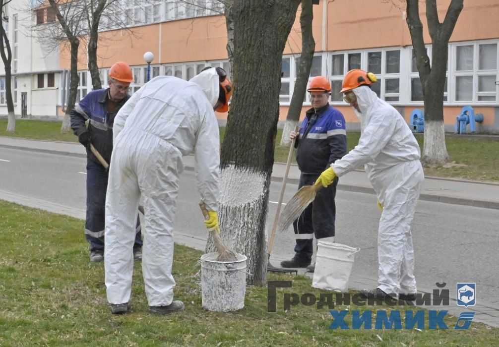 _DSC5405_cr.jpg